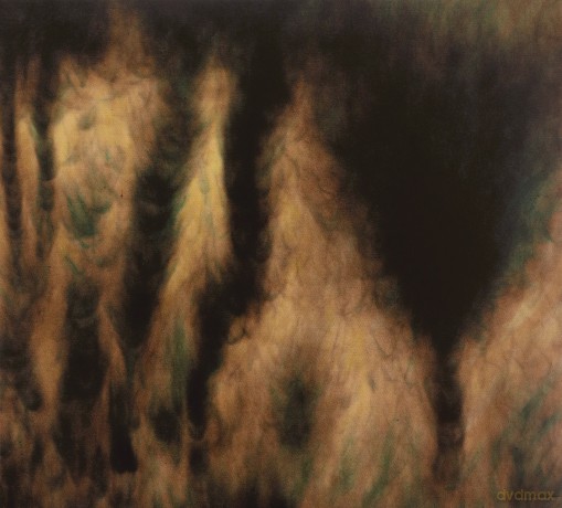 William Basinski: Lamentations [CD]