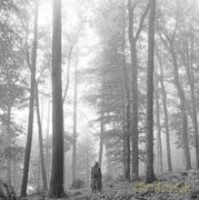 Caoilfhionn Rose: Truly [CD]