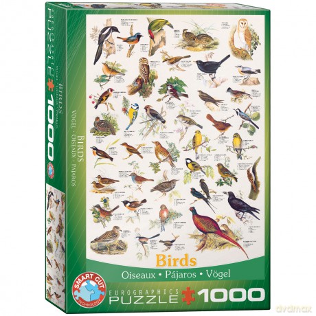 EUROGRAPHICS 1000 el. Ptaki 6000-1259 [PUZZLE]
