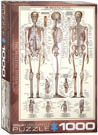 EUROGRAPHICS 1000 el. Układ szkieletowy 6000-3970 [PUZZLE]