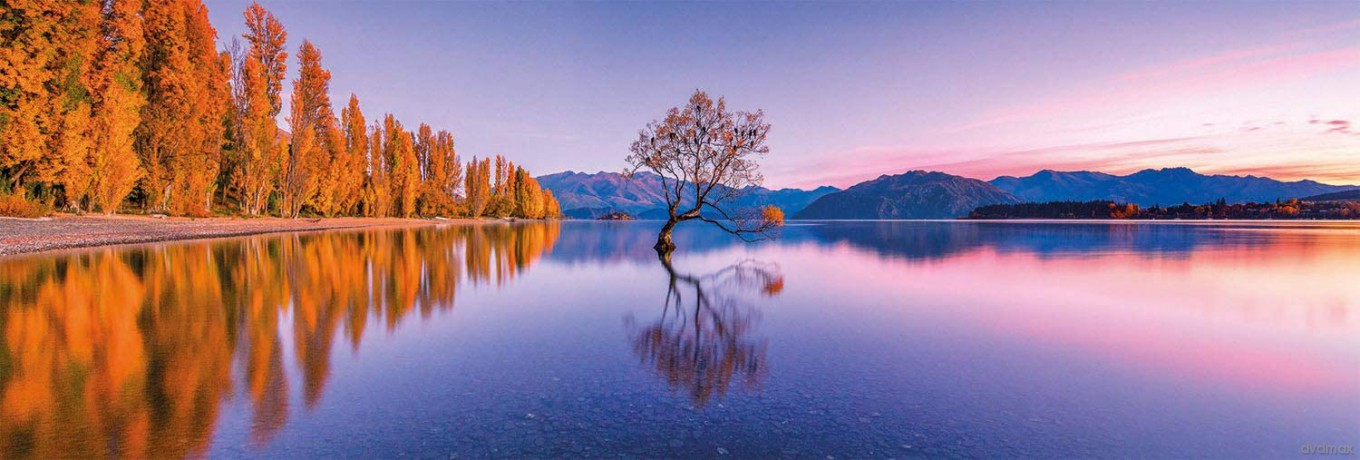 CLEMENTONI 1000 el. panoramiczne HQ Drzewo jeziora Wanaka 39608 [PUZZLE]