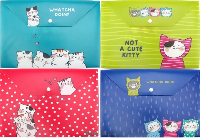 Teczka A4 plastikowa zatrzask So Many Cats