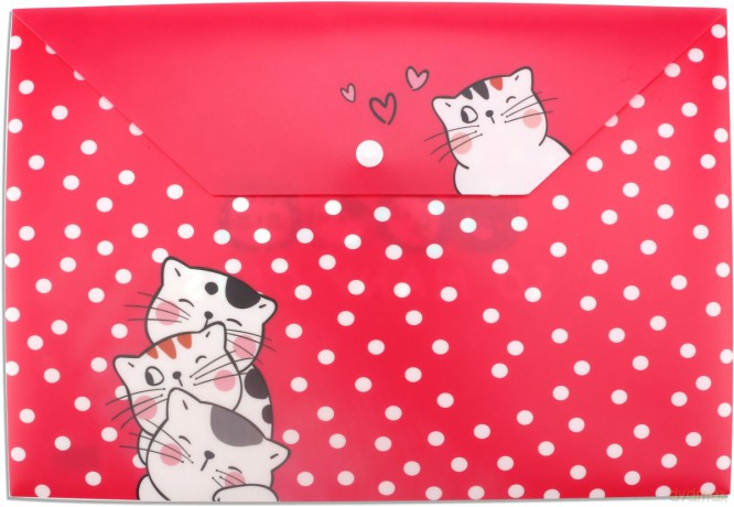 Teczka A4 plastikowa zatrzask So Many Cats