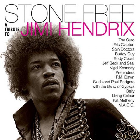 Stone Free: Jimi Hendrix Tribute (RSD) (Clear/Black) [2xWinyl]