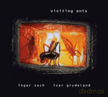 Ingar Zach, Ivar Grydeland: Visiting Ants [CD]