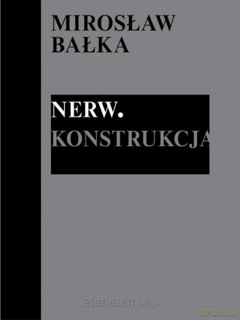 Mirosław Bałka: Nerw. Konstrukcja - Kasia Redzisz, Allegra Pesenti, Marta Dziewańska, Zbigniew Mikołejko [KSIĄŻKA]