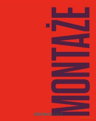 Montaże. Debora Vogel i nowa legenda miasta [KSIĄŻKA]