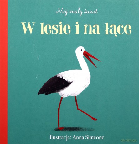 Mój mały świat. W lesie i na łące - Anna Simeone [KSIĄŻKA]
