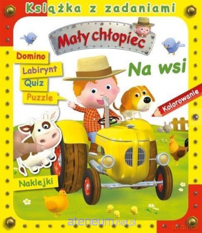 Na wsi. Książka z zadaniami. Mały chłopiec - Agathe Clair, Emilie Beaumont, Alexis Nesme [KSIĄŻKA]
