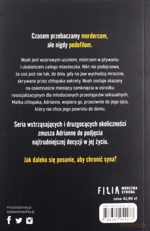 Ocalić syna - Lucinda Berry [KSIĄŻKA]