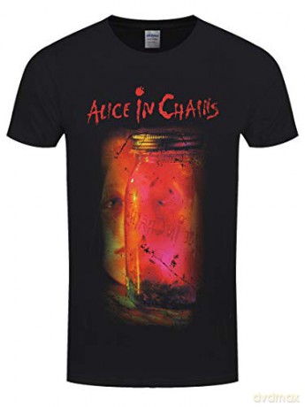 Jar Of Flies