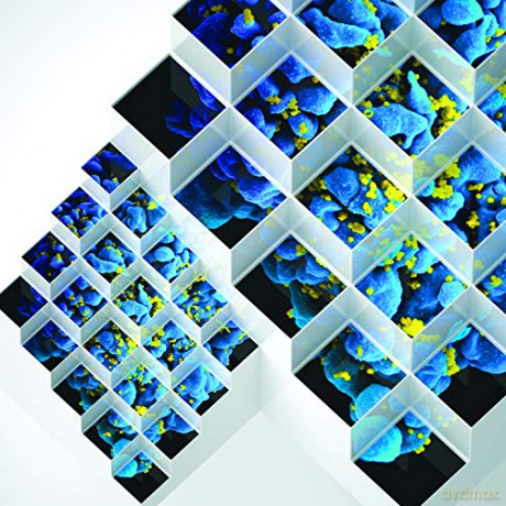 Bluetech: Liquid Geometries In Dub [CD]