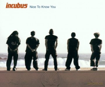 Incubus: Nice To Know You [CD]