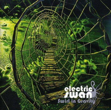 Electric Swan: Swirl in Gravity [CD]
