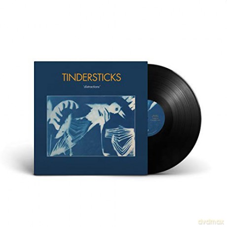 Tindersticks: Distractions [Winyl]