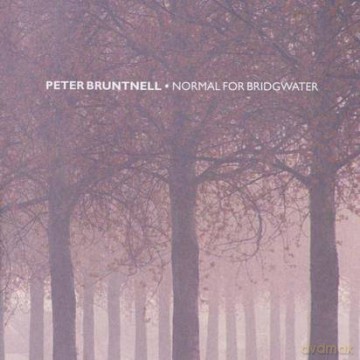 Peter Bruntnell: Normal For Bridgwater (RSD) [Winyl]