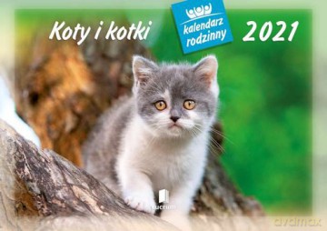 Kalendarz 2021 WL09 Koty i kotki Kalendarz Rodzinny 5 sztuk [KALENDARZ]