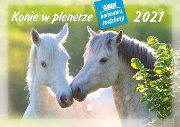 Kalendarz 2021 WL10 Konie w plenerze Rodzinny 5 sztuk [KALENDARZ]