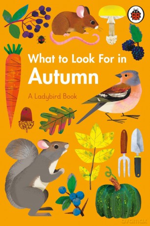 What to Look For in Autumn - Elizabeth Jenner [KSIĄŻKA]