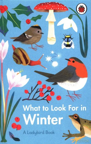 What to Look For in Winter - Elizabeth Jenner [KSIĄŻKA]