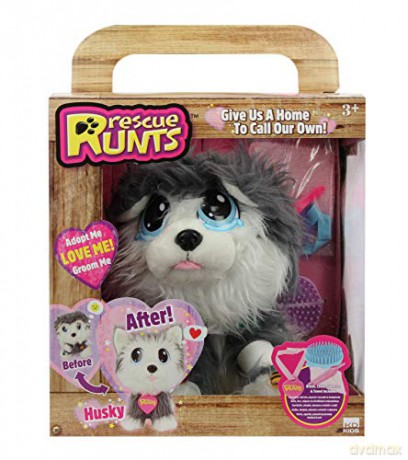 Rescue Runts - Husky