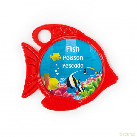 Baby Einstein Mata edukacyjna Rytmy rafy