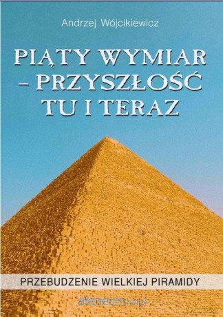 Piąty wymiar - przyszłość tu i teraz - Andrzej Wójcikiewicz [KSIĄŻKA]