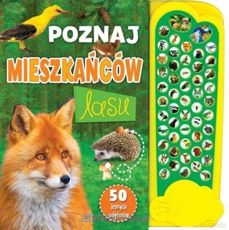 Poznaj mieszkańców lasu [KSIĄŻKA]