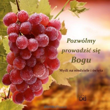 Pozwólmy prowadzić się Bogu - Piotr Koźlak CSsR [KSIĄŻKA]