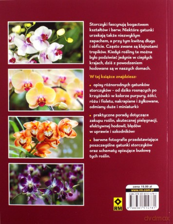 Storczyki. Najpiękniejsze gatunki. Pielęgnacja i uprawa - Olaf Grub, Manfred Wolff [KSIĄŻKA]