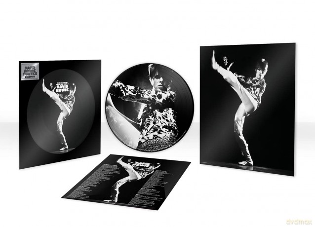 David Bowie: The Man Who Sold The World (Picture) [Winyl]