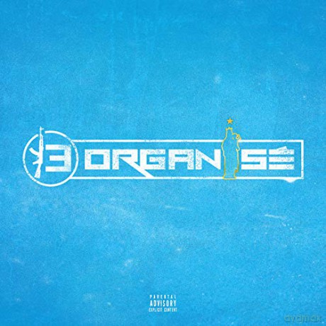 13 Organise: 13 Organise [CD]