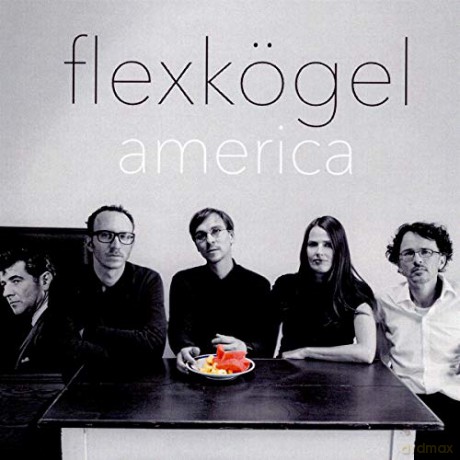 Flexkssgel: America [CD]