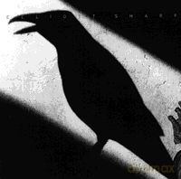 Elliott Sharp: Figure Ground [CD]