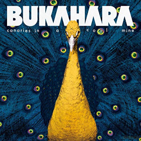 Bukahara: Canaries In A Coal Mine [CD]