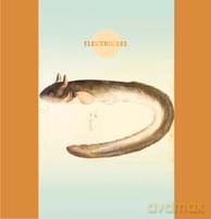 Makigami Koichi: Electric Eel [CD]