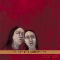 New Klezmer Trio: Short For Something [CD]