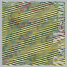 Raz Mesinai: Cyborg Acoustics [CD]