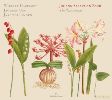 Johann Sebastian Bach: Flotensonaten BWV 1020,1021,1030-1035 [2CD]