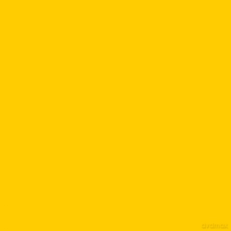Conrad Schnitzler: Gelb (Bonus Version) [Winyl]