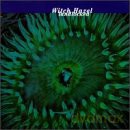 Witch Hazel: Landlocked [CD]