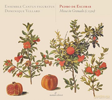 Pedro de Escobar: Missa in Granada [CD]