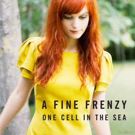 A Fine Frenzy: One Cell In The Sea [CD]