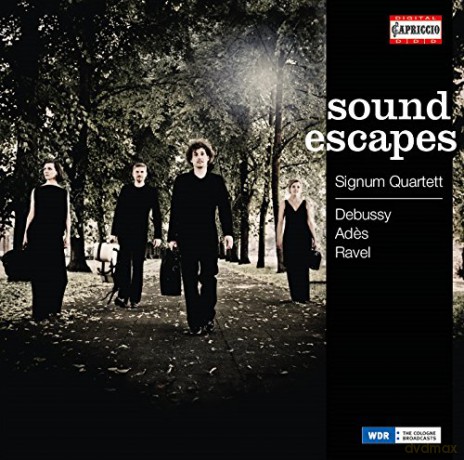 Signum Quartett-Soundescapes [CD]