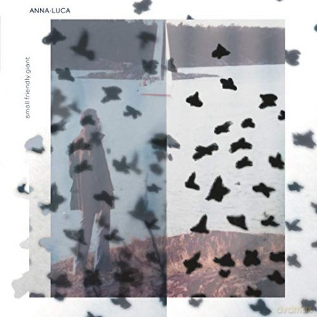 Anna.Luca: Small Friendly Giant [CD]