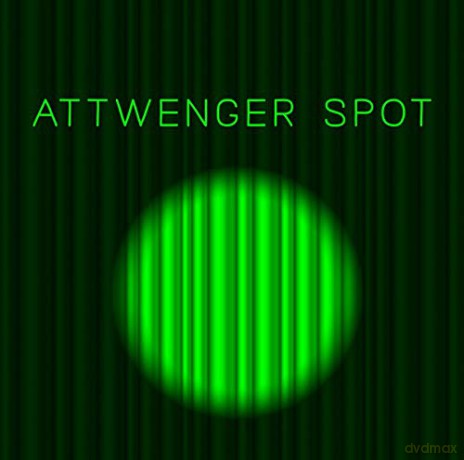 Attwenger: Spot [CD]