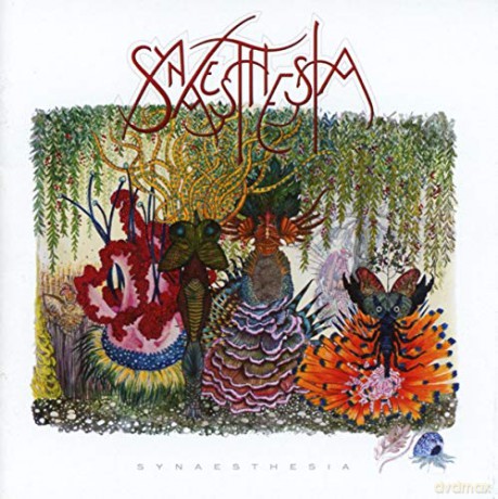 Synaesthesia: Synaesthesia [CD]