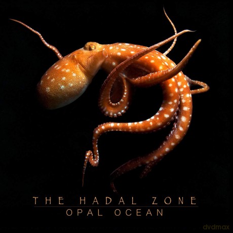 Opal Ocean: The Hadal Zone [CD]