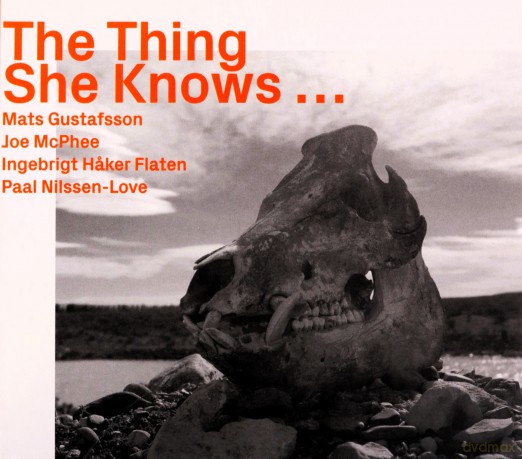 Mats Gustafsson, Joe McPhee, Ingebrigt Hssker Flaten: The Thing She Knows... [CD]