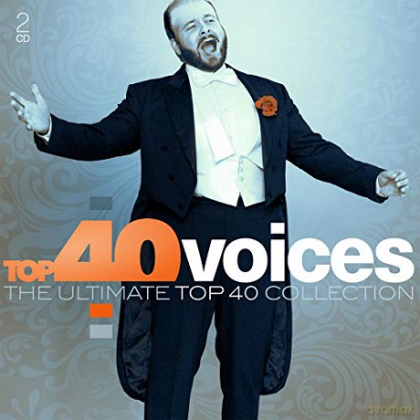 Top 40: Voices [2CD]